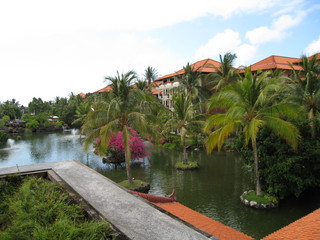 IMG_0016.JPG